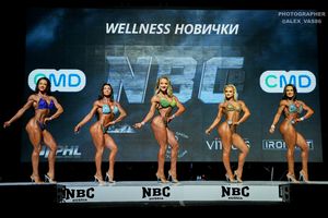 WELLNESS НОВИЧКИ